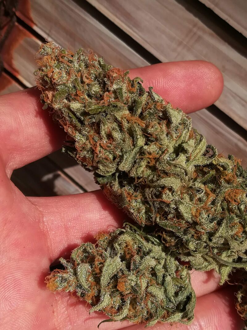 Z-Kiem, Фасовка: 3+3, изображение 5